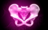 Computer generated image of a pelvis in pink.